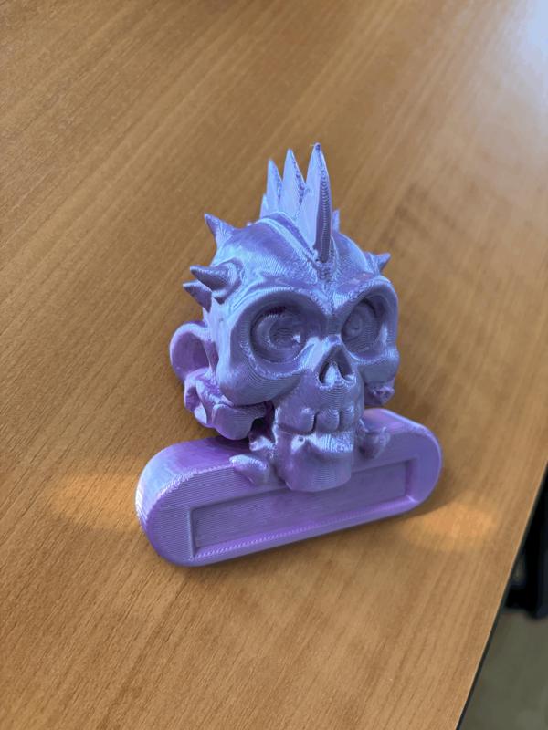 Punk-Skull DoorSign /Punk-Skull Türschild