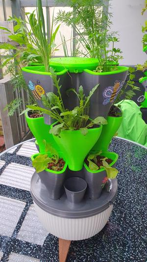 Hydroponic Style Tower Indoor