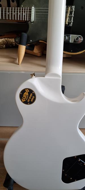 Epiphone switch cover