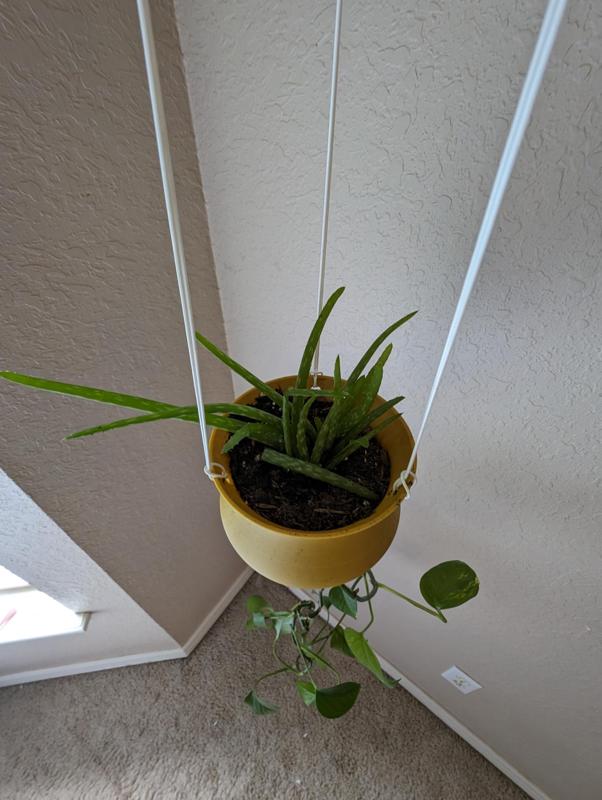 Top and Bottom Hanging Planter