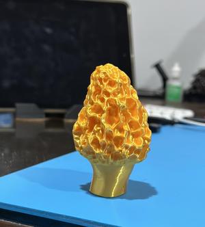 Morel Mushroom