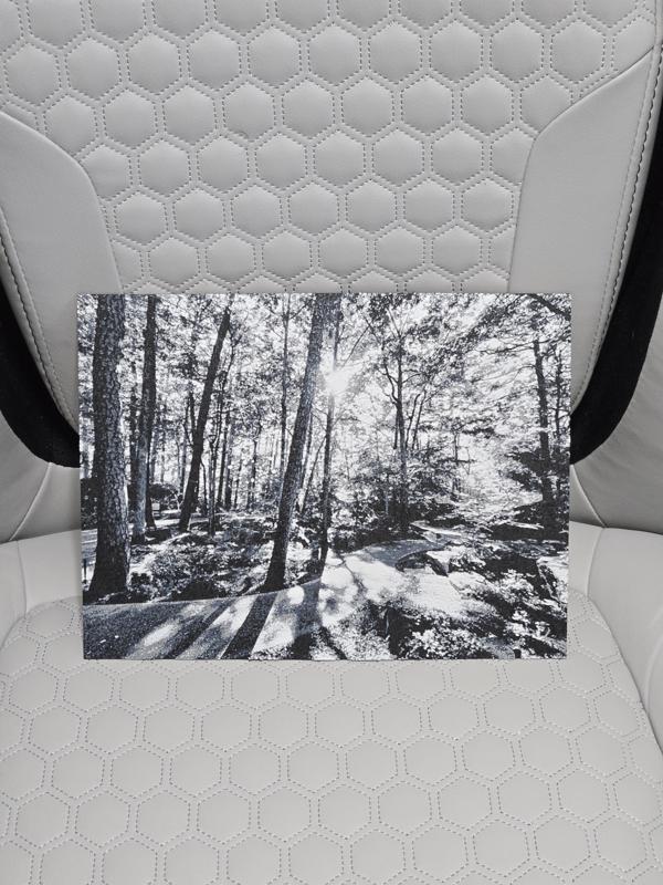 Hot Springs AR pathway and trees Hueforge