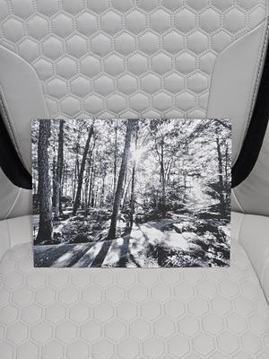 Hot Springs AR pathway and trees Hueforge