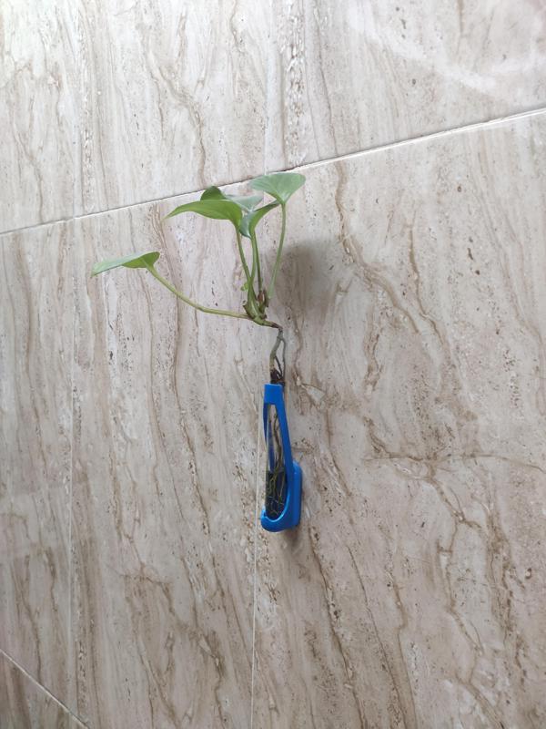 wall mount propagation station