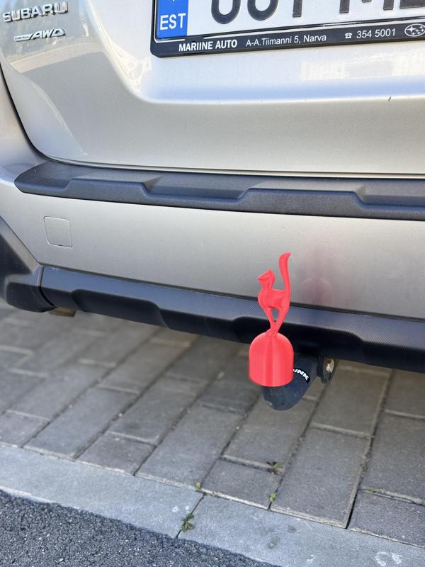 Funny tow hook cover