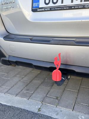 Funny tow hook cover