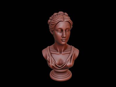 Avicenna Bust