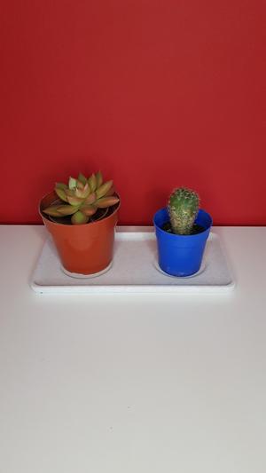 Potting dish