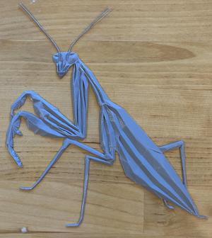 Geometric Praying Mantis