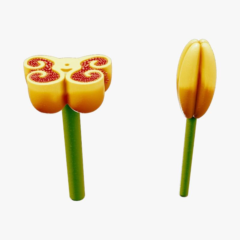 Anther Cross Section Anatomy