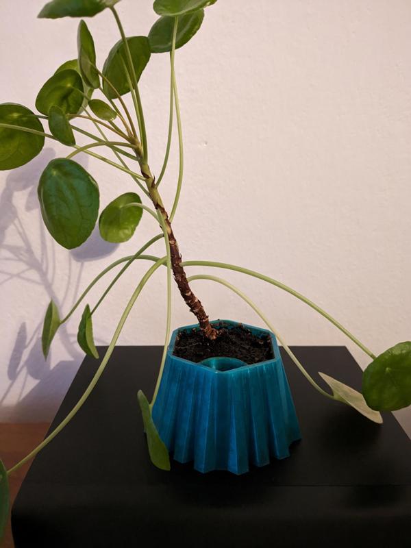 Self watering planter