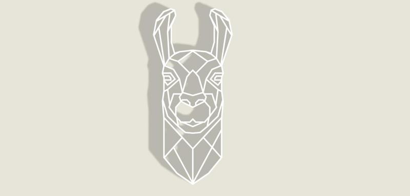 Geometric Llama