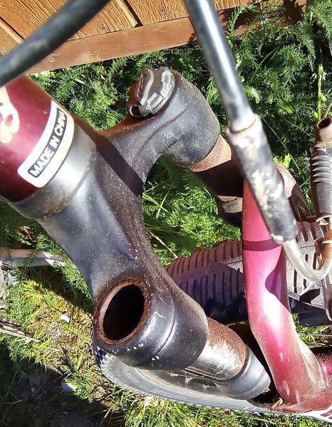 Trek Bicycle 22mm dust cap for front forks