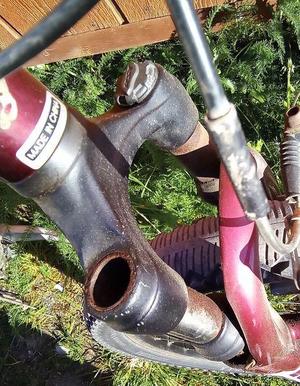 Trek Bicycle 22mm dust cap for front forks