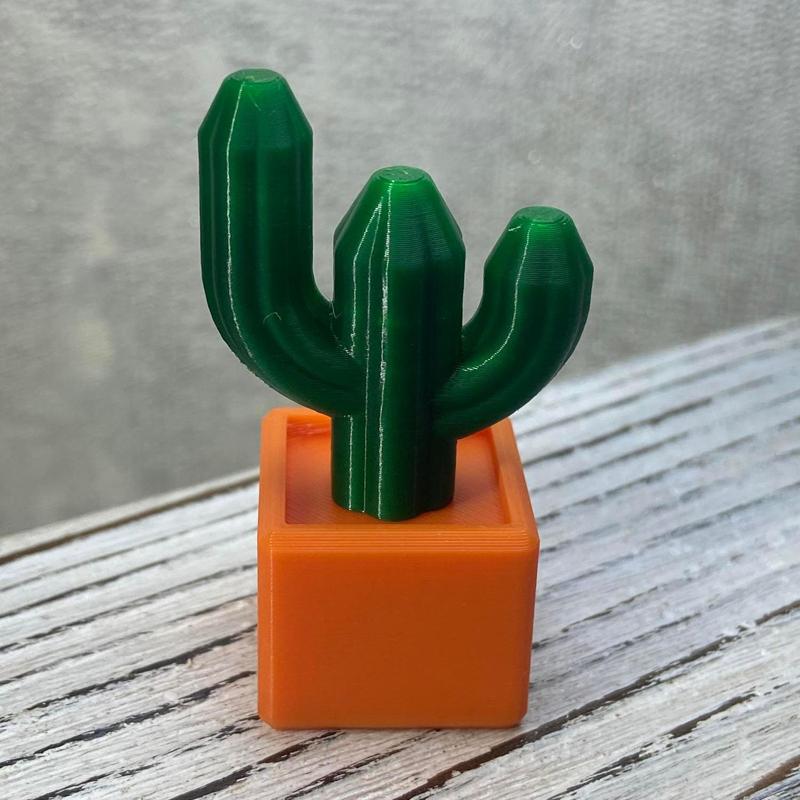 Cactus Magnet Miniature