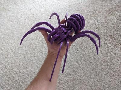 Spider Kit - Large - Separated