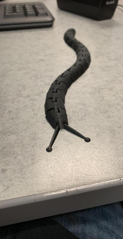 LOOOOONG Articulated Slug