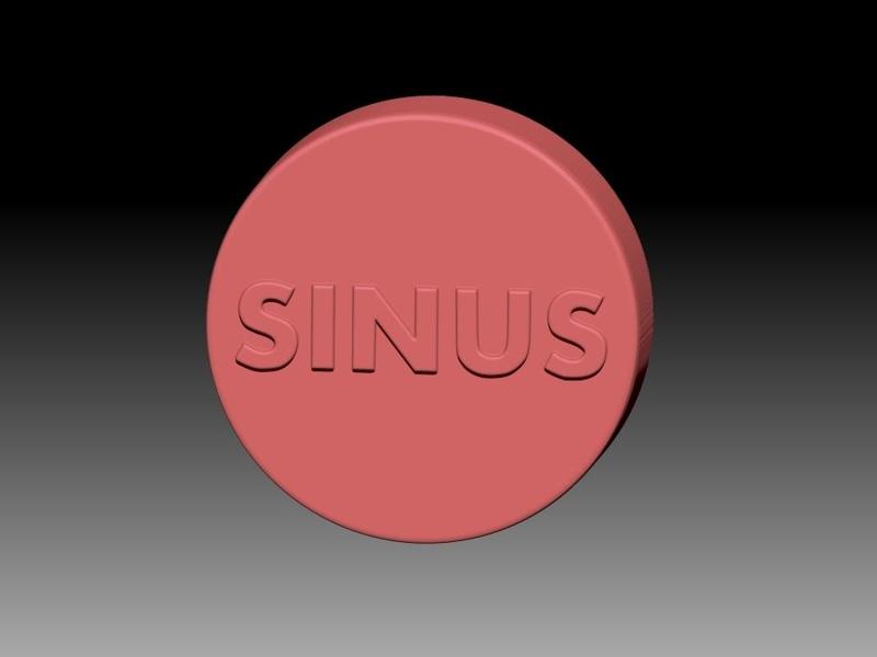 SINUS SOLID SHAMPOO AND MOLD FOR SOAP PUMP