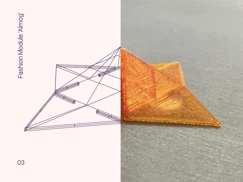 Fashion Module - Almog