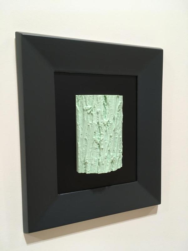 Hego-Ipuru / Cade Juniper / Enebro de la Miera / Juniperus oxycedrus