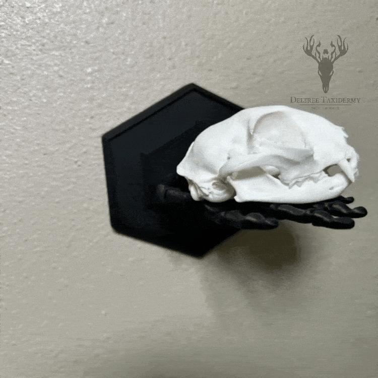 Skeleton Hand - Wall Hanger - No Supports