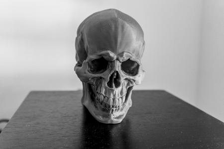 Skull Version 1.1