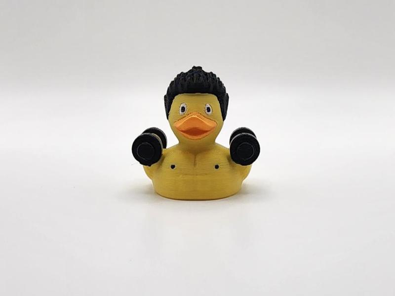 Fitness Duck