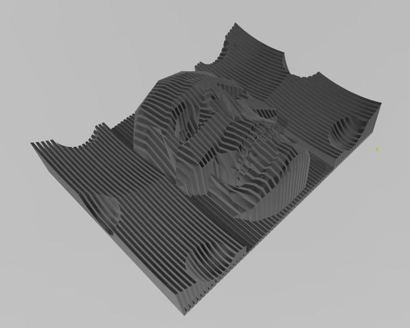 SKull art wall thingy