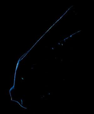 [168] - Trang phục nam - Khơ me