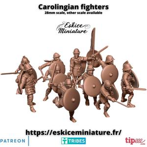 Carolingian fighters - 28mm
