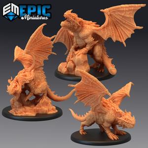 Cave Dragon Set / Earth Drake / Winged Mountain Encounter / Magical Beast