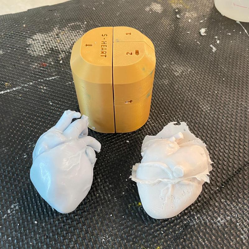 Anatomical Heart Mold