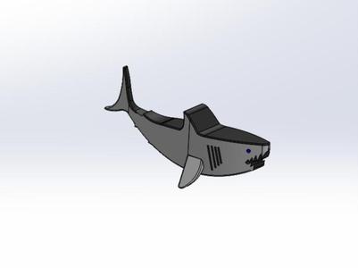 Shark