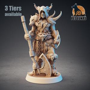 Barbarian Tiefling