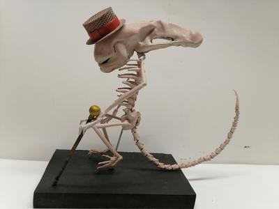 Skeleton of a chestburster 