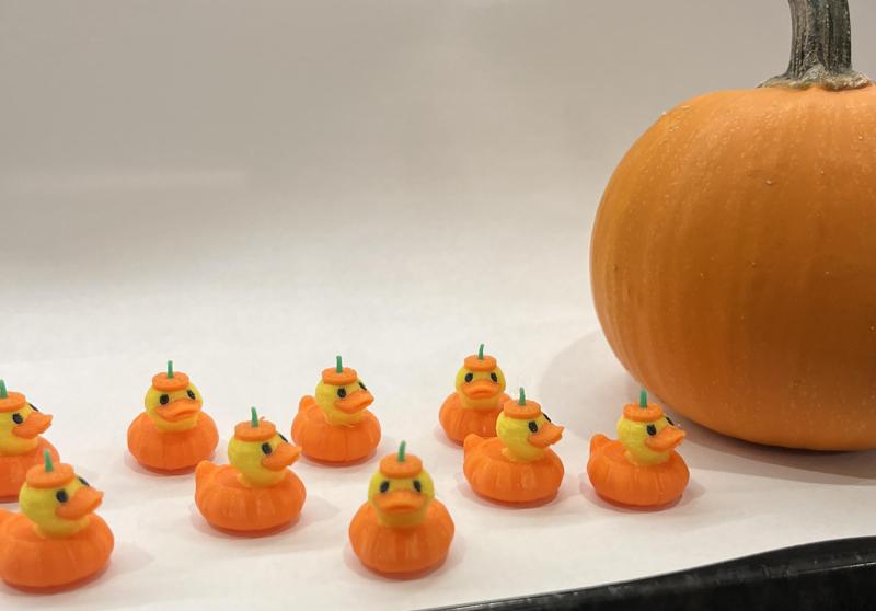 Pumpkin Duck