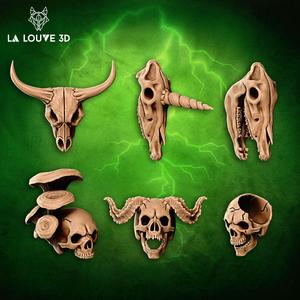 Skulls and skeleton parts
