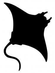 Manta Ray Stencil