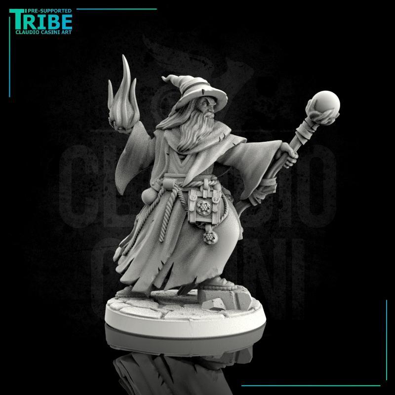 (0039) Male human wizard