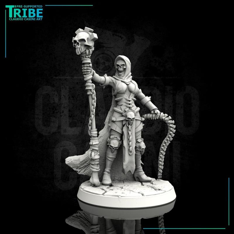 (0026) Female undead human elf tiefling tamer sorceress with whisk