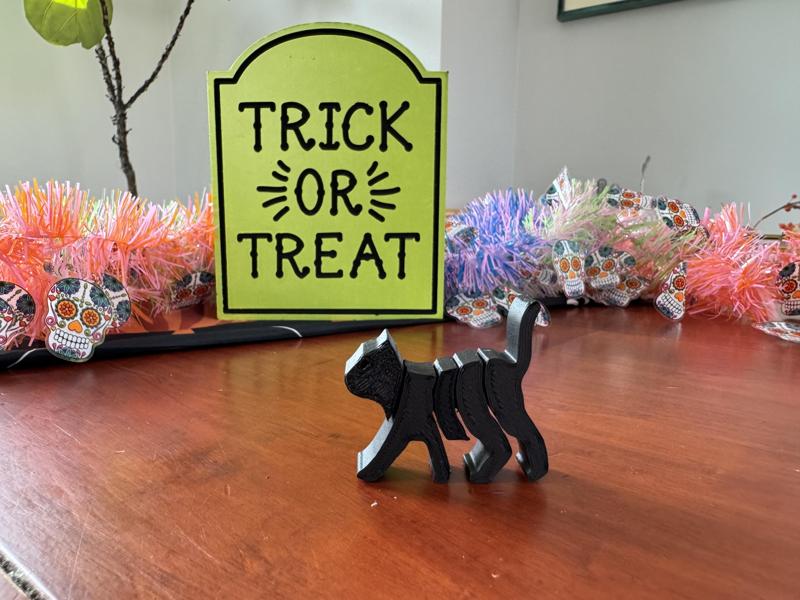 Flexi Halloween Cat