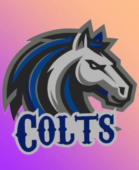 Indianapolis Colts Custom FanArt 1