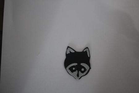 Raccoon Face