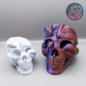Skull with Dragon