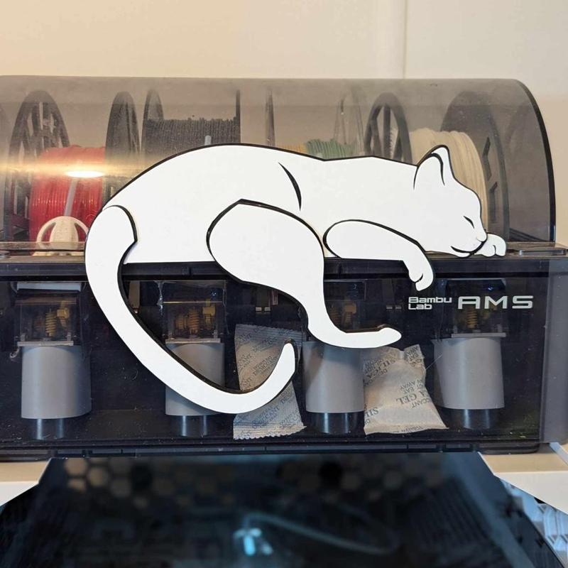 SLEEPY CAT HANGING AROUND