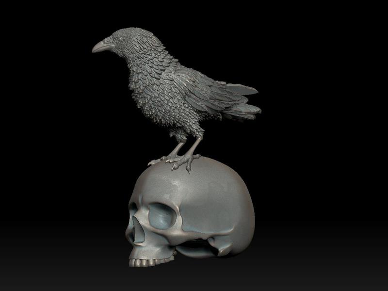 bird crow scull