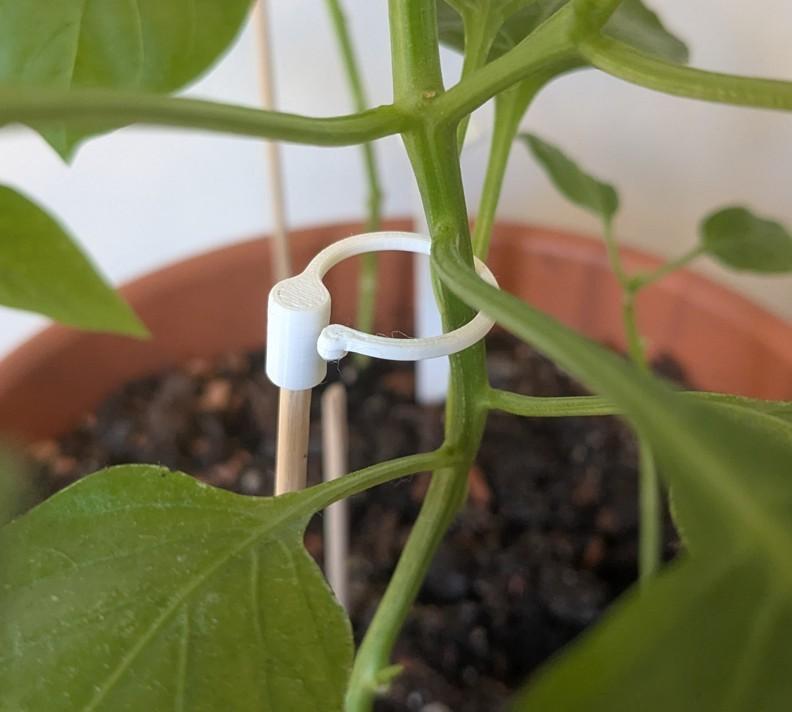 Plant clip for wooden skewers