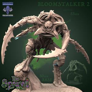 Bloom Stalker 2