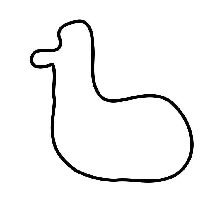 duck