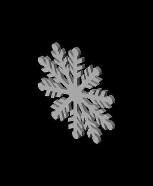 Snow Flake 2